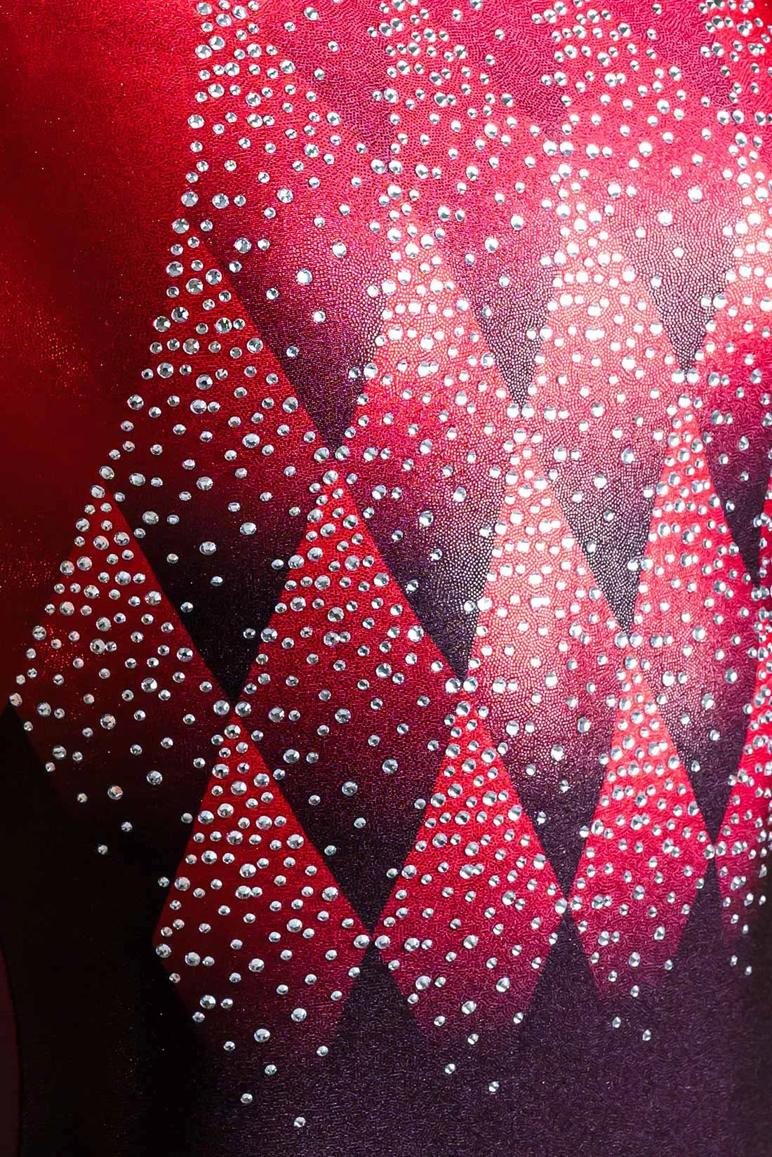Ascend Leotard
