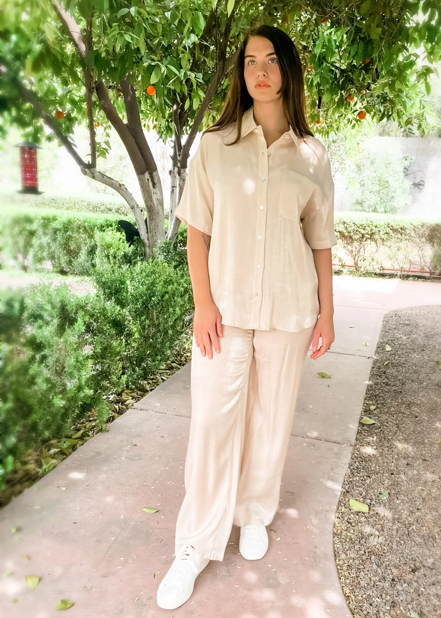 Café au lait, Satin 2 Piece, Pants And Shirt Set, Taupe
