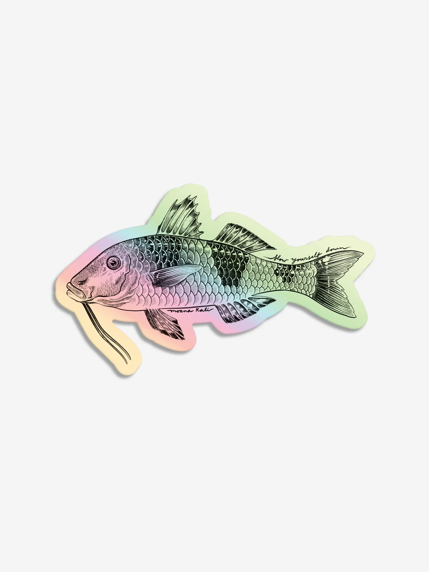 Fish Tee Bundle