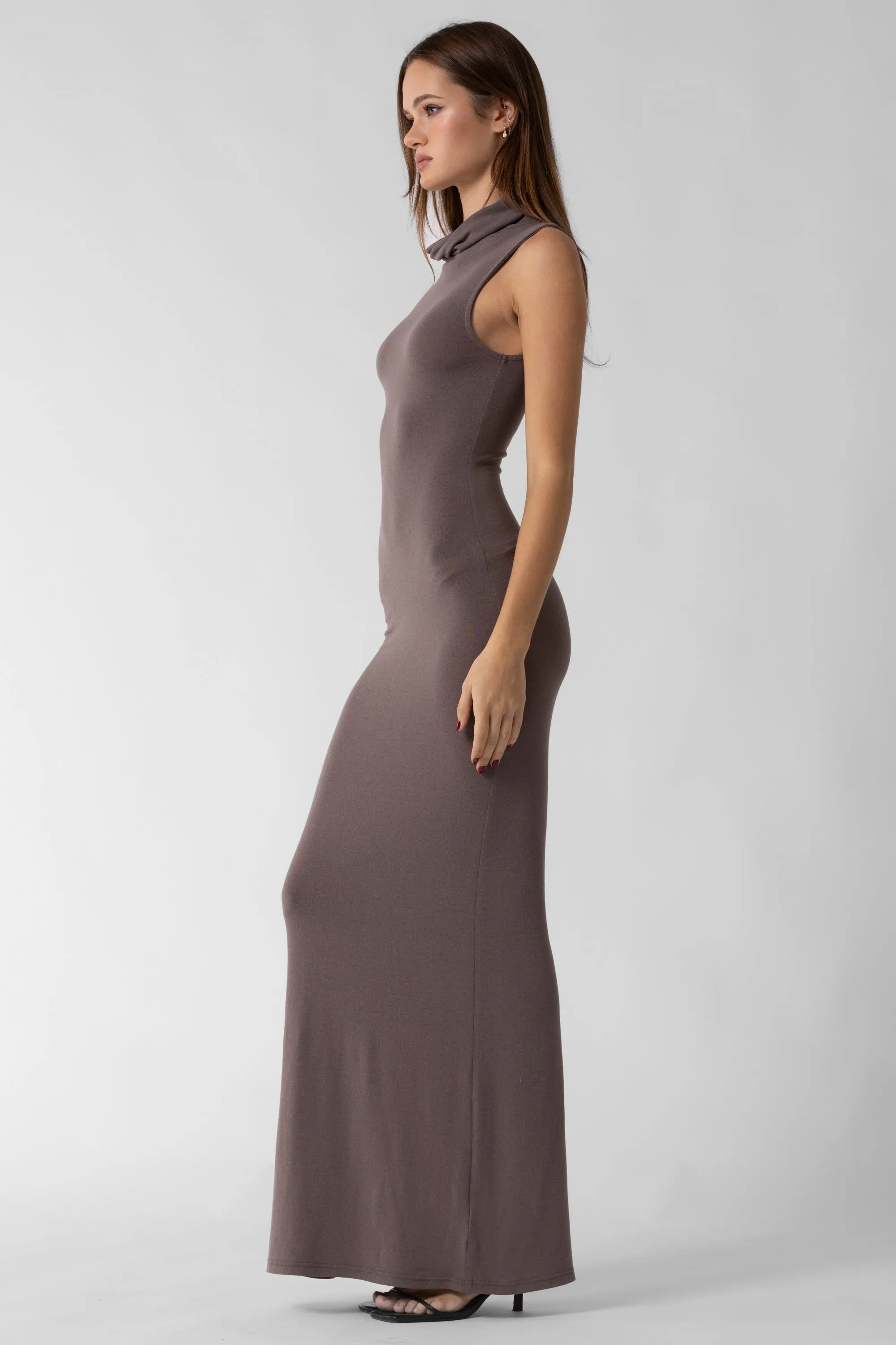 Honor Turtle Neck Dress