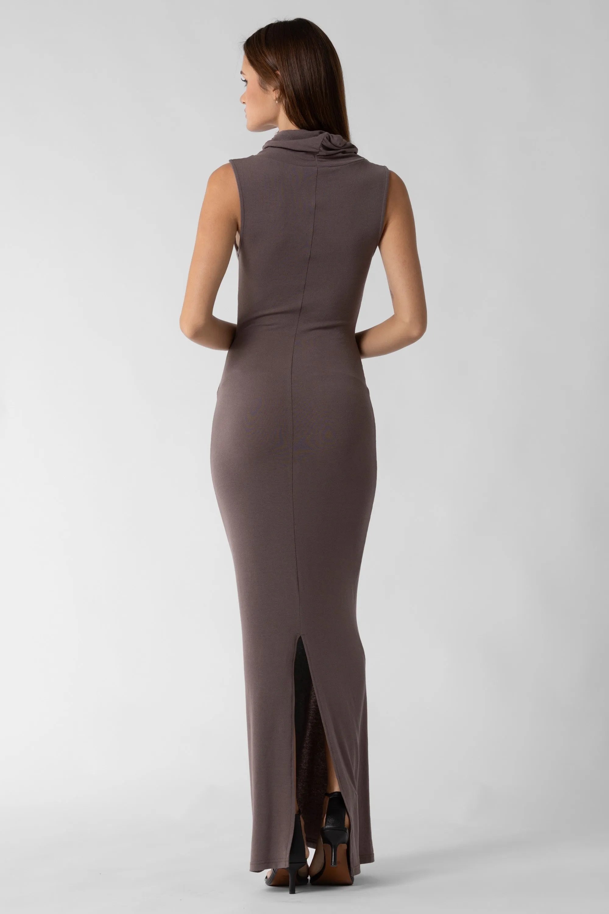 Honor Turtle Neck Dress